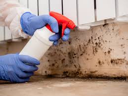 Best Black Mold Removal  in Fabens, TX